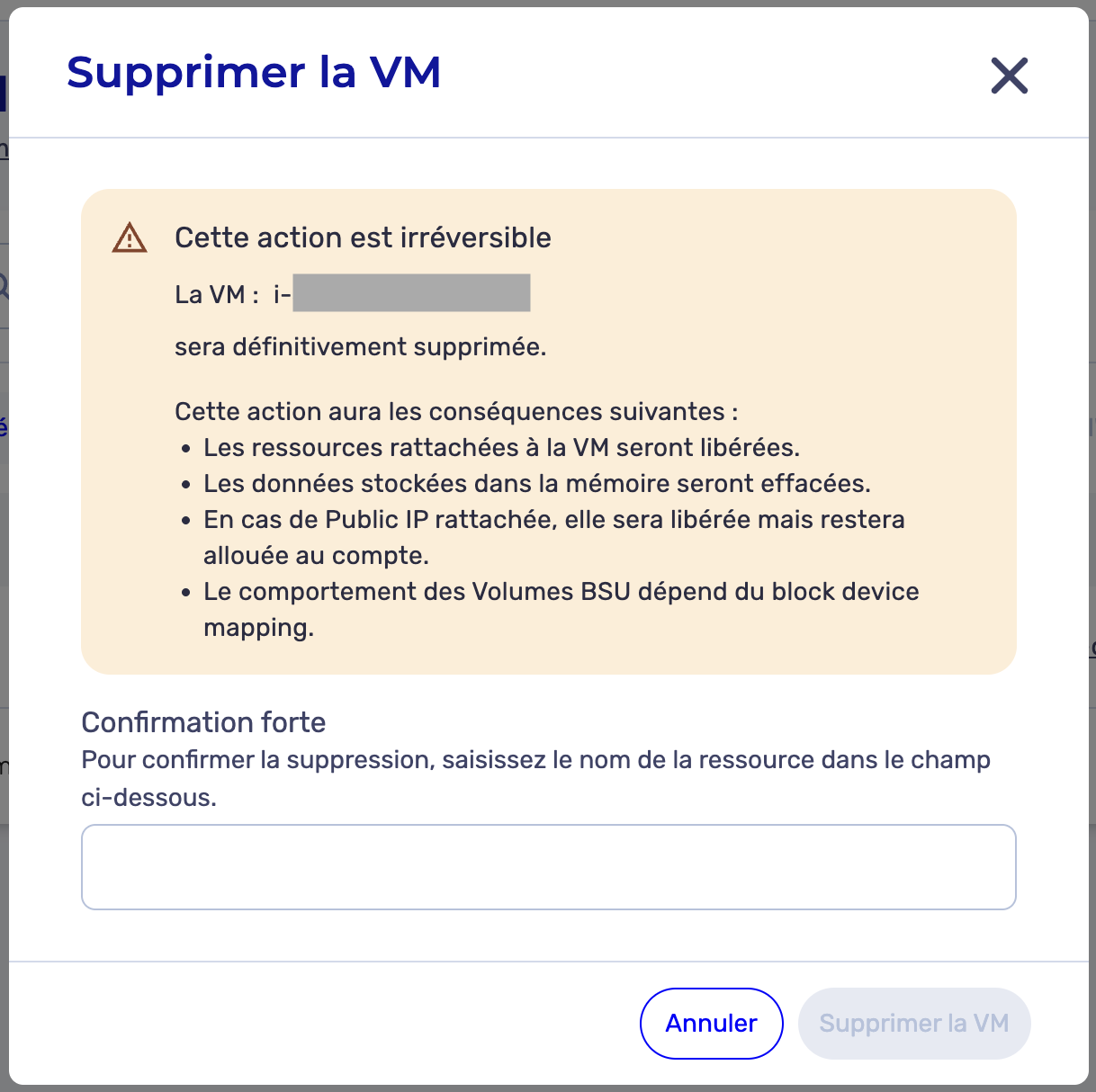 delete_confirmation_vm.png