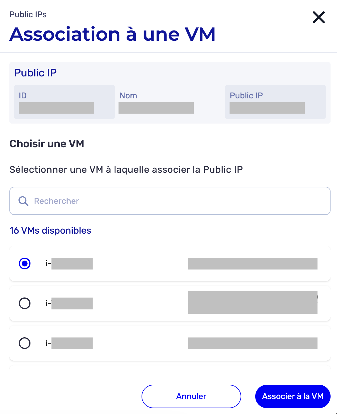 link_vm_public_ip_form.png