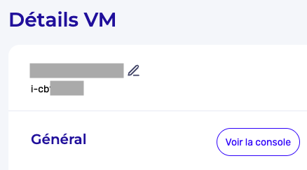 See VM Console