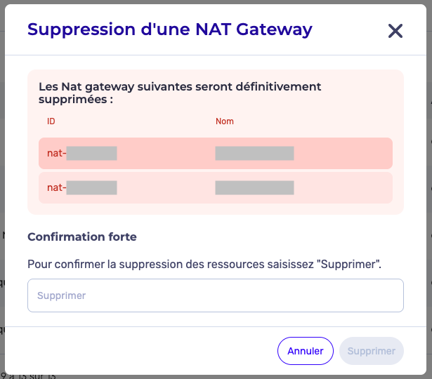 delete_multiple_nat_form.png